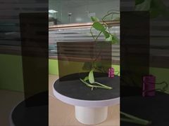 3 mm di foglio di policarbonato solido marrone anti-impatto protezione UV unilaterale