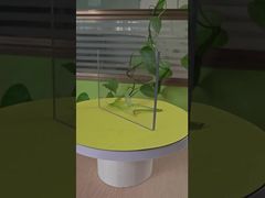 Lastra piena trasparente da 6 mm